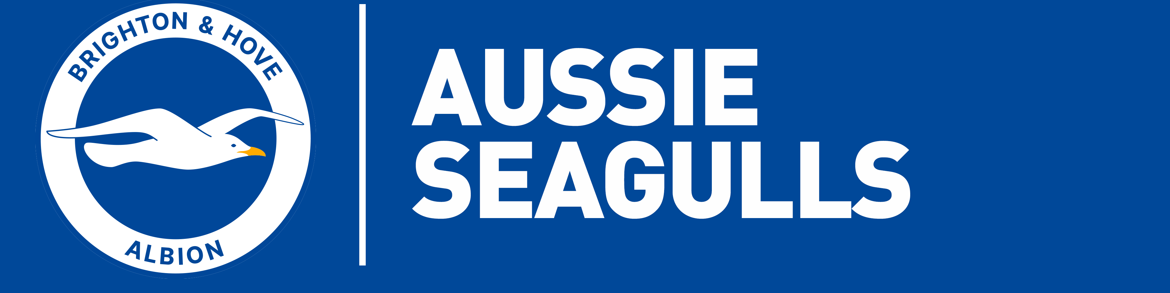 Blue Banner
